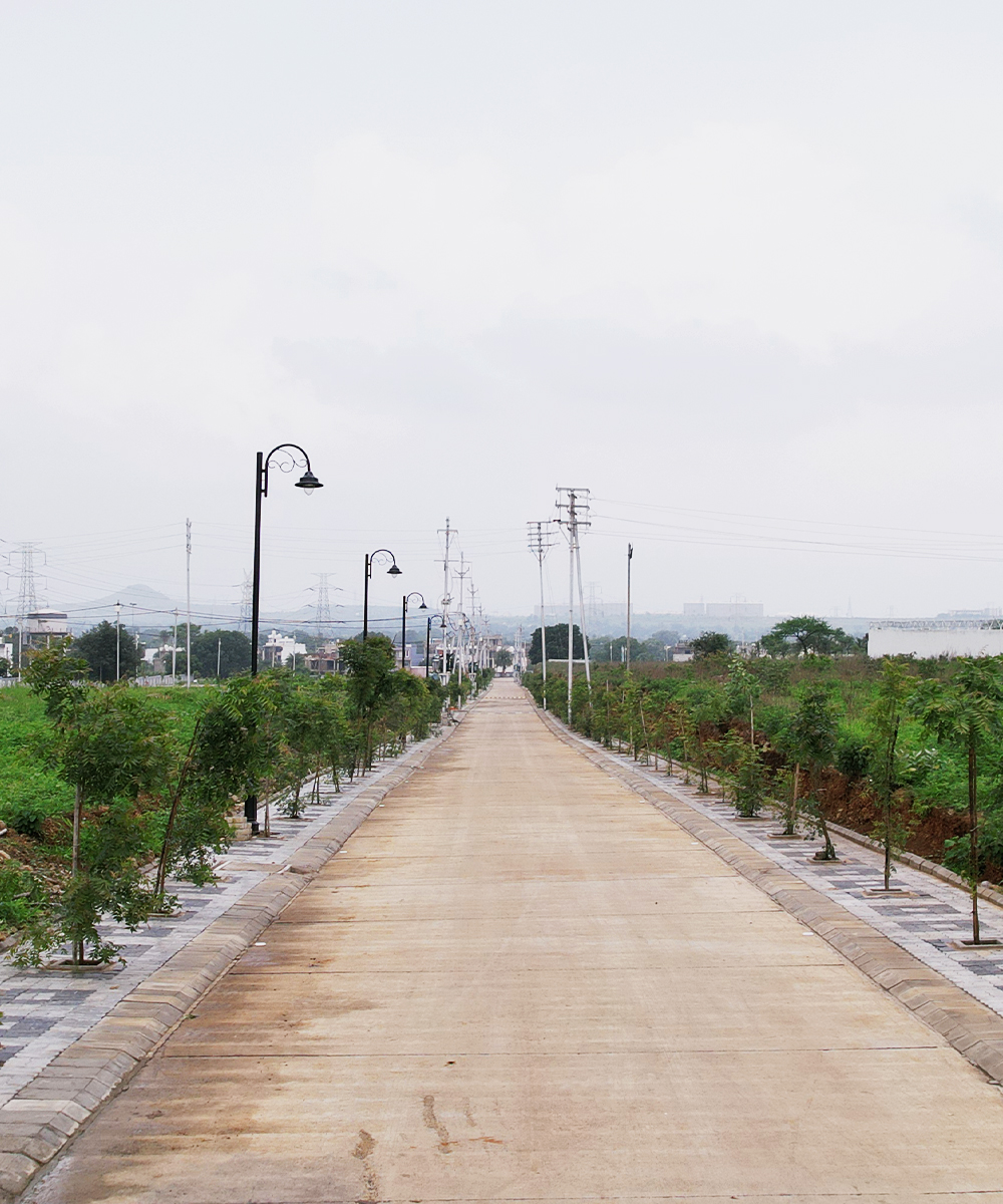 Ayurvedic plants across township